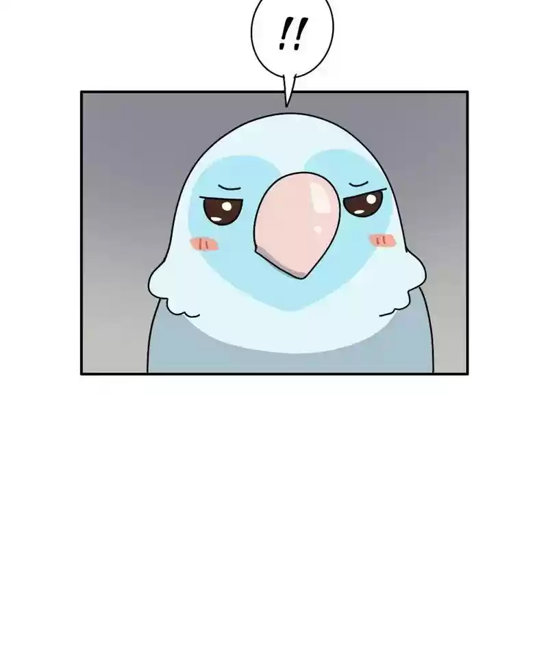 A Budgie's Life Chapter 343: Ep.342: