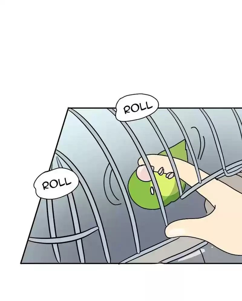 A Budgie's Life Chapter 343: Ep.342: