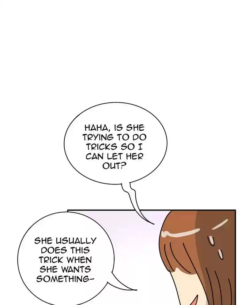 A Budgie's Life Chapter 343: Ep.342: