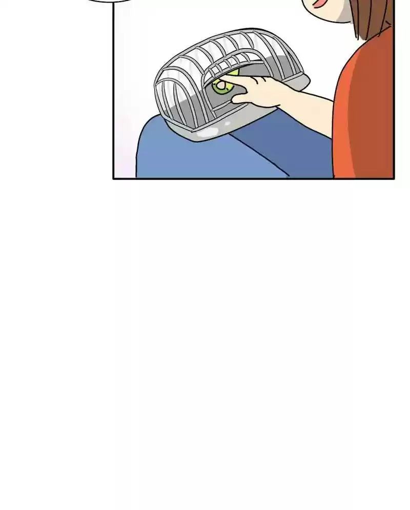 A Budgie's Life Chapter 343: Ep.342: