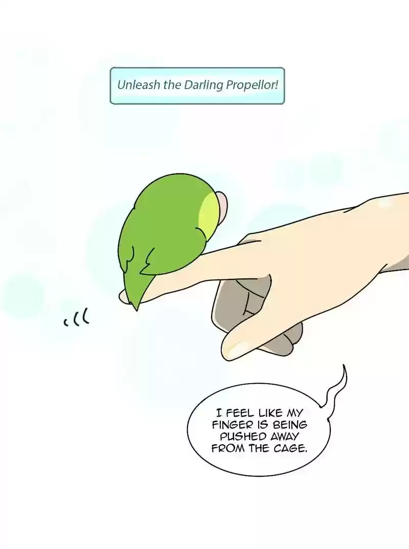 A Budgie's Life Chapter 343: Ep.342: