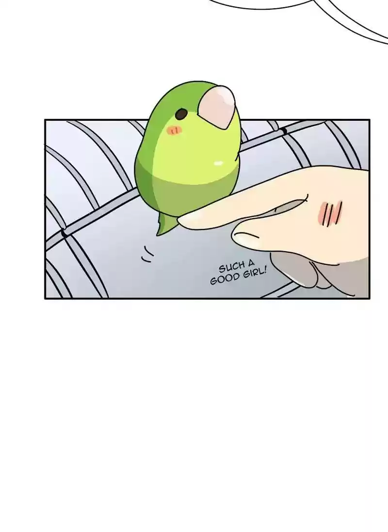 A Budgie's Life Chapter 343: Ep.342: