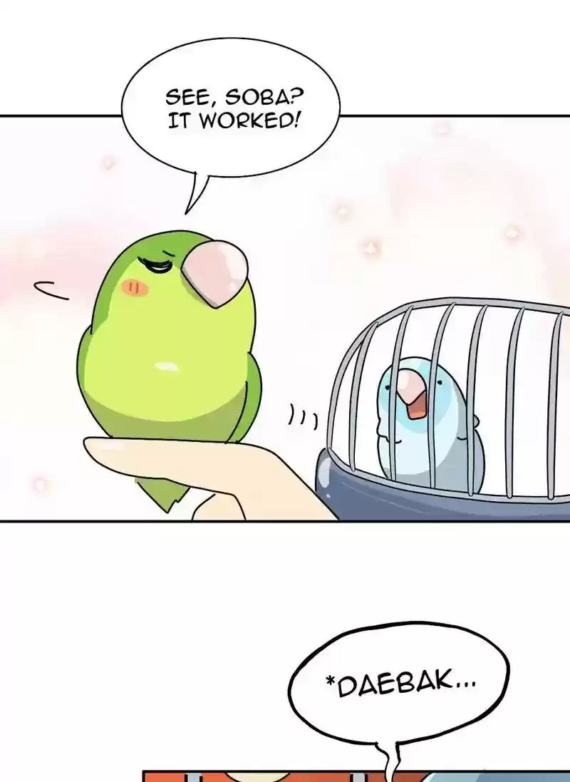 A Budgie's Life Chapter 343: Ep.342: