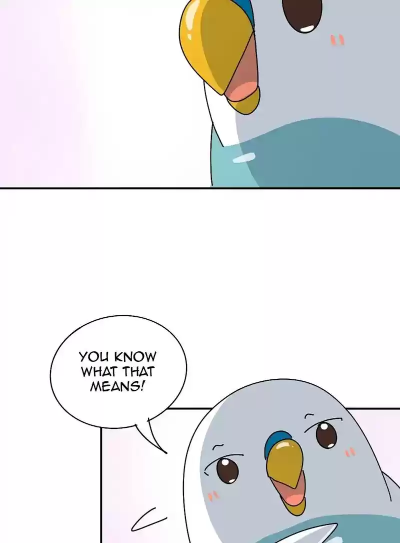 A Budgie's Life Chapter 344: Ep.343: