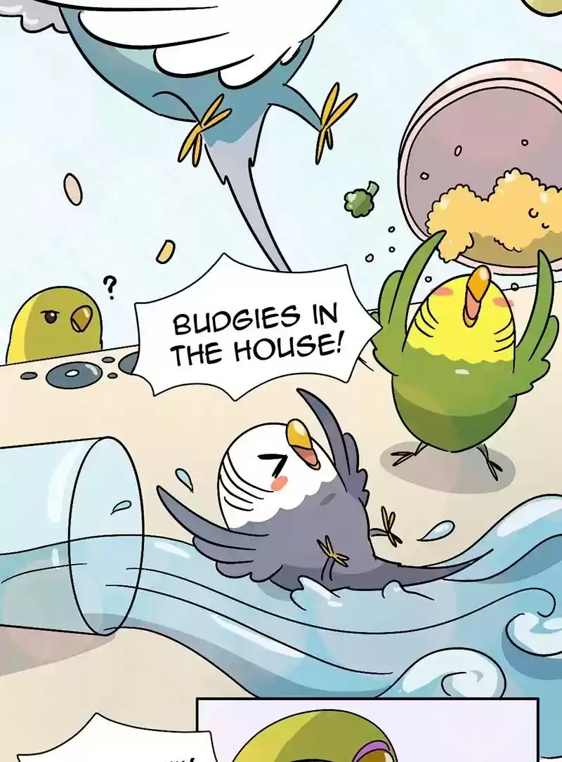 A Budgie's Life Chapter 344: Ep.343: