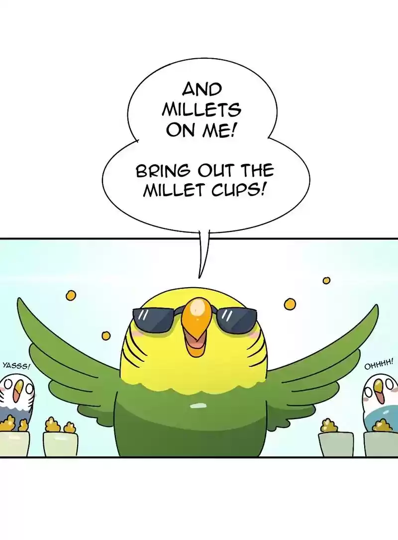 A Budgie's Life Chapter 344: Ep.343: