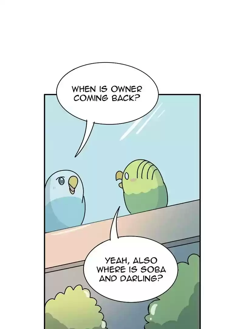 A Budgie's Life Chapter 344: Ep.343: