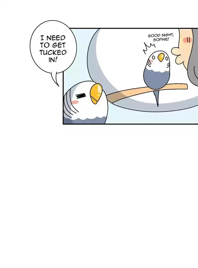 A Budgie's Life Chapter 344: Ep.343: