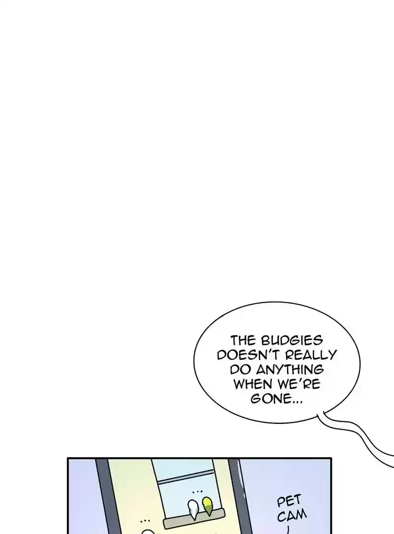 A Budgie's Life Chapter 344: Ep.343: