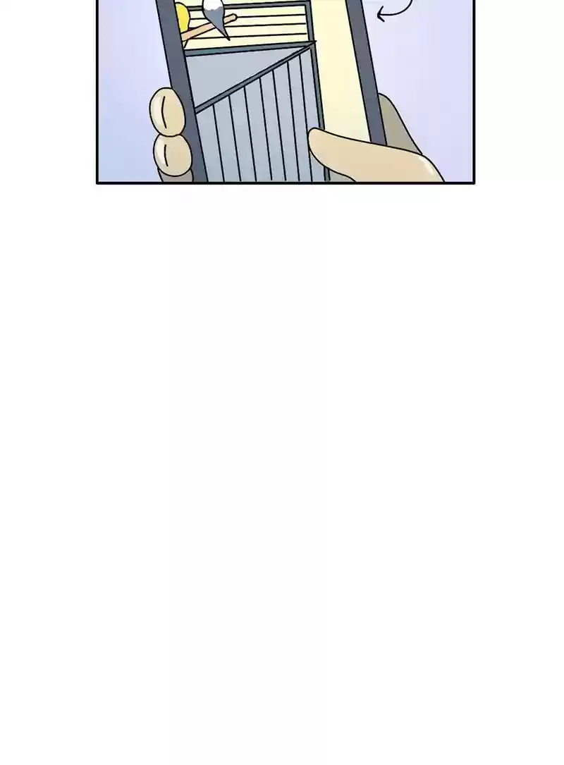 A Budgie's Life Chapter 344: Ep.343: