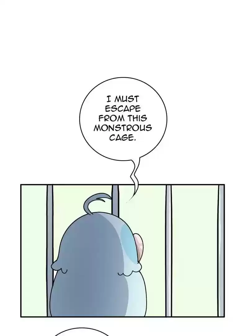 A Budgie's Life Chapter 345: Ep.344: