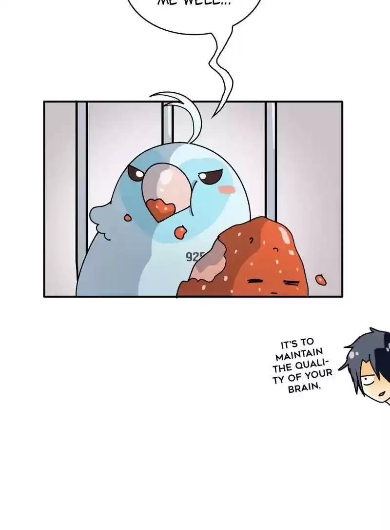 A Budgie's Life Chapter 345: Ep.344: