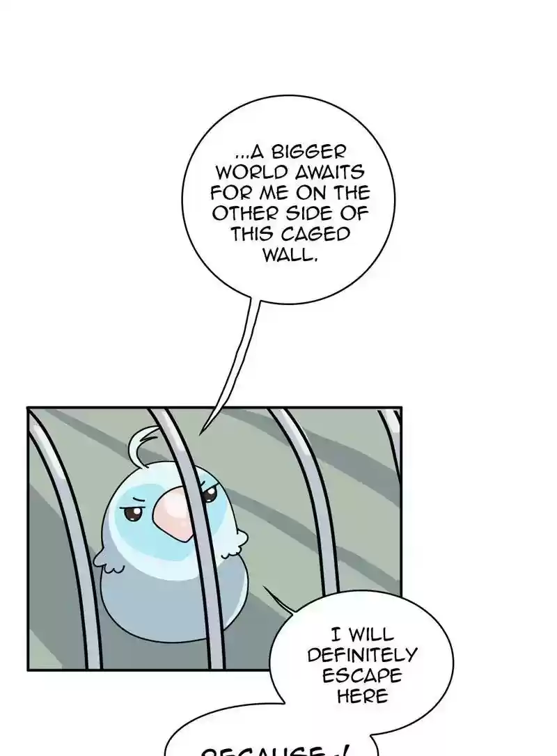 A Budgie's Life Chapter 345: Ep.344: