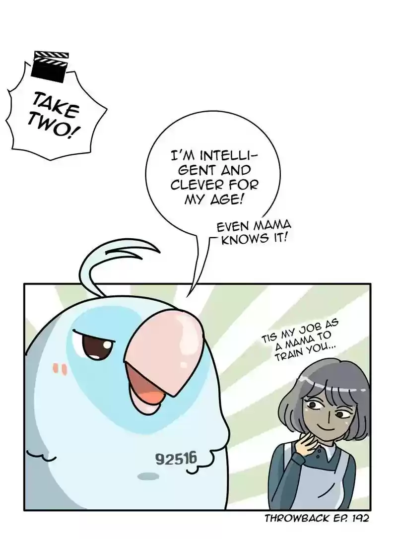 A Budgie's Life Chapter 345: Ep.344: