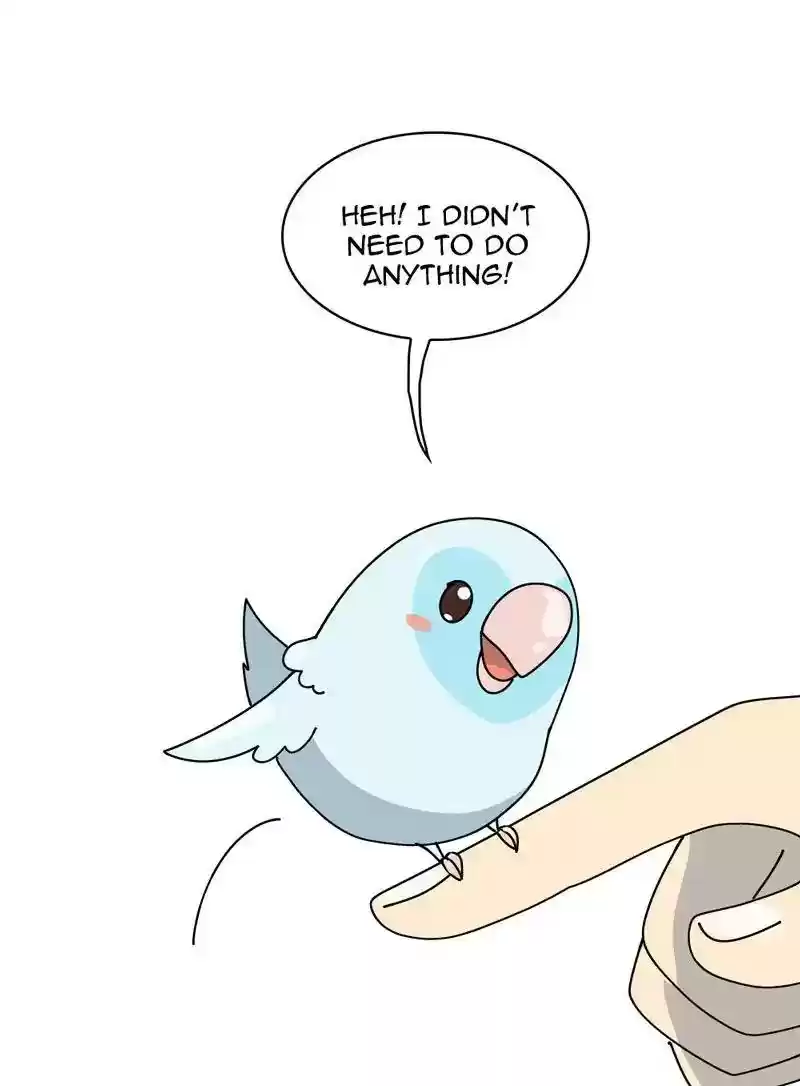 A Budgie's Life Chapter 345: Ep.344:
