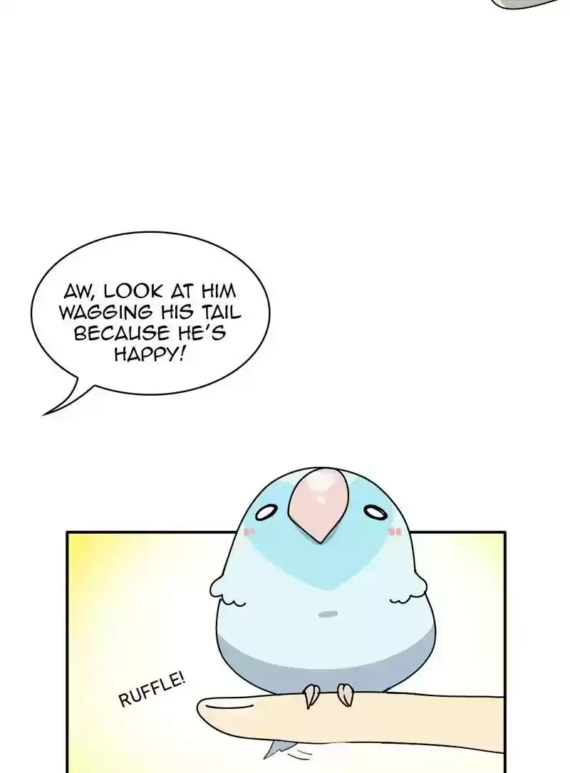 A Budgie's Life Chapter 345: Ep.344: