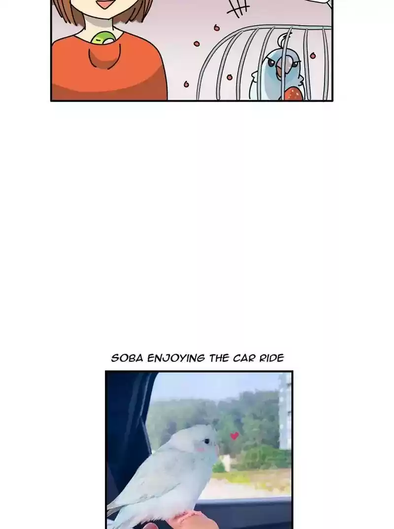 A Budgie's Life Chapter 345: Ep.344: