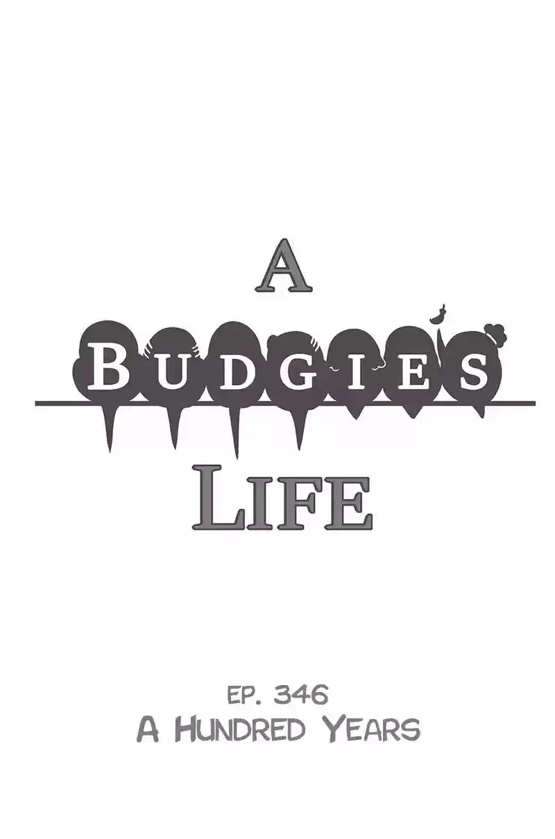 A Budgie's Life Chapter 346: Ep.345: