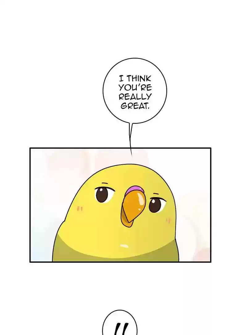 A Budgie's Life Chapter 346: Ep.345: