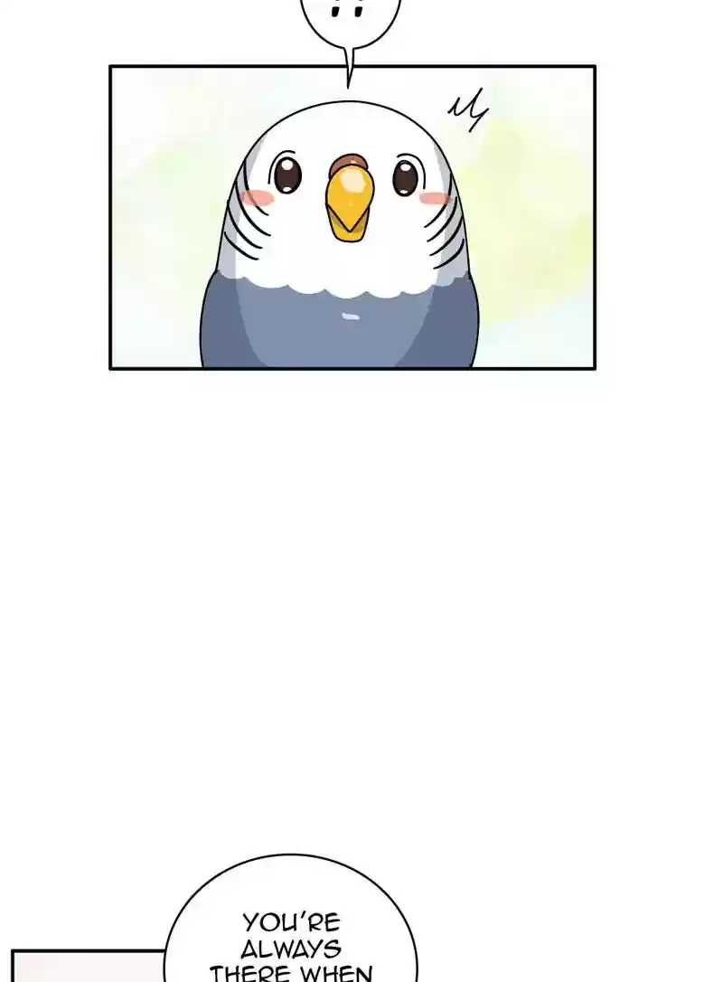 A Budgie's Life Chapter 346: Ep.345: