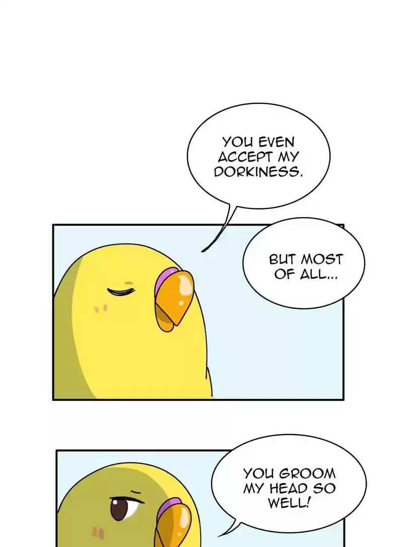 A Budgie's Life Chapter 346: Ep.345: