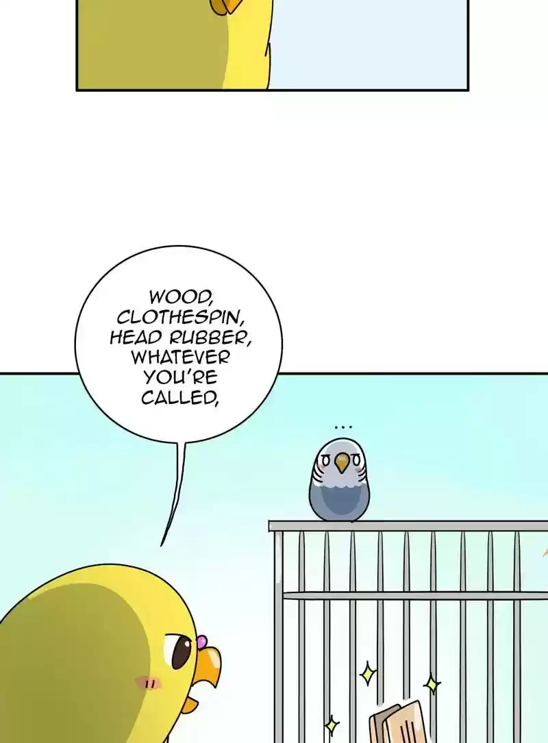 A Budgie's Life Chapter 346: Ep.345:
