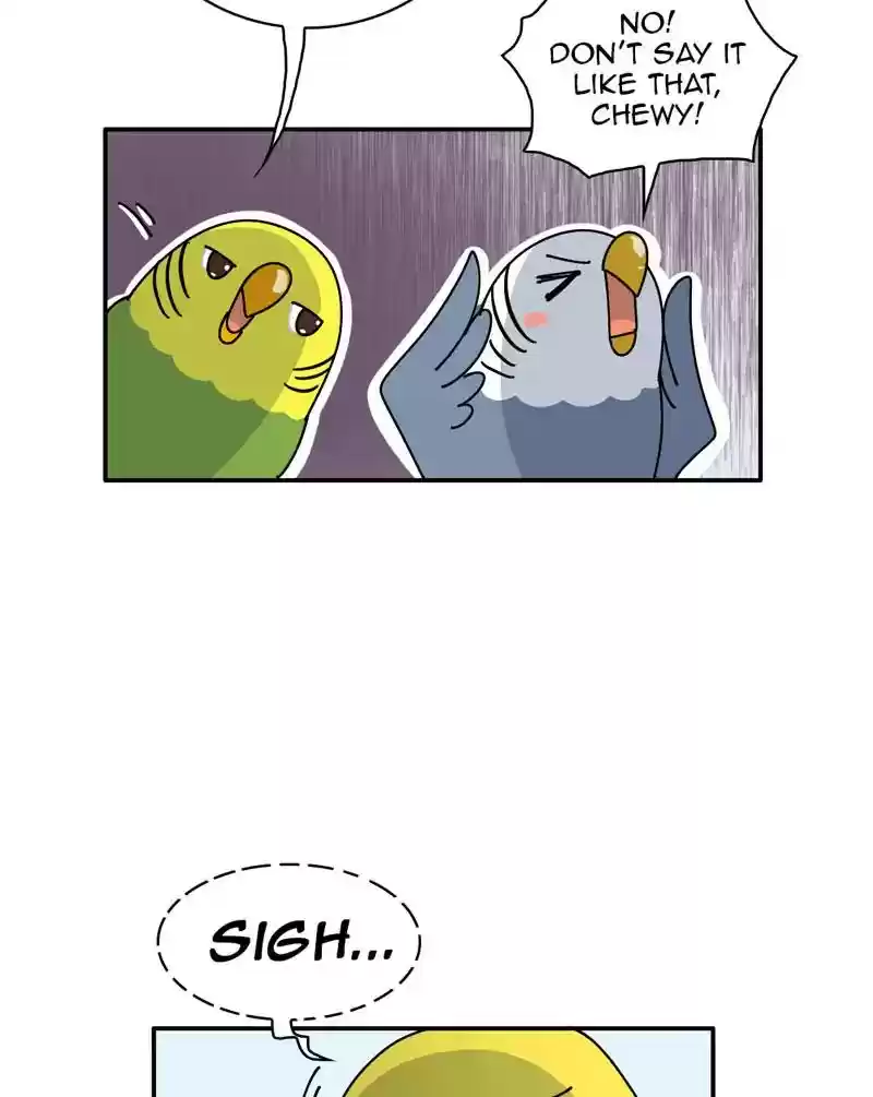 A Budgie's Life Chapter 346: Ep.345: