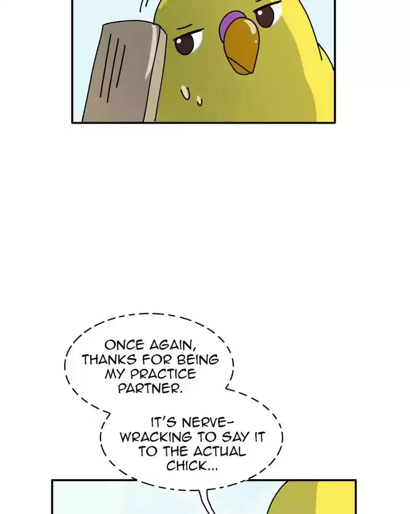 A Budgie's Life Chapter 346: Ep.345: