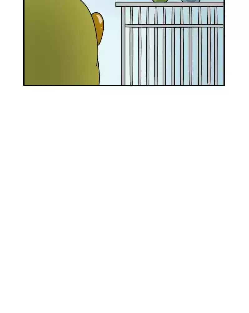 A Budgie's Life Chapter 346: Ep.345: