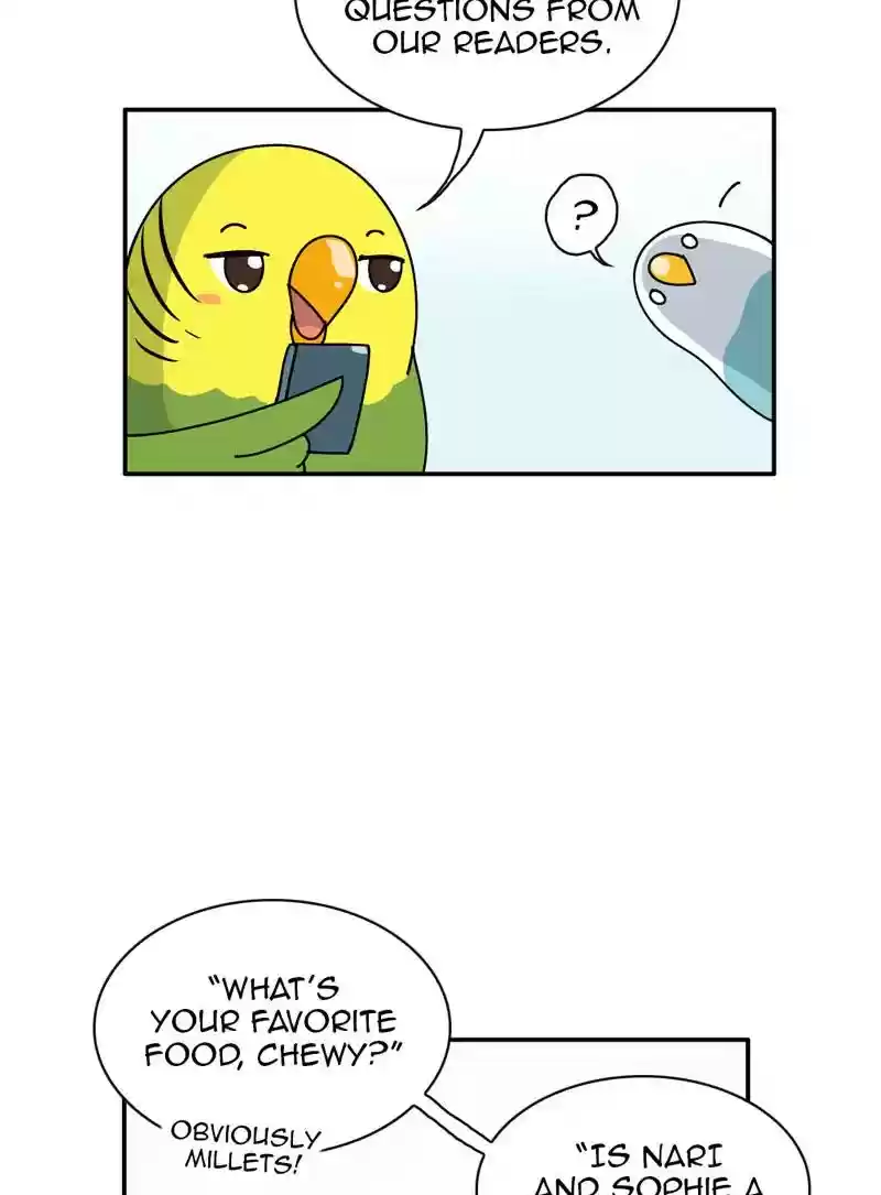 A Budgie's Life Chapter 347: Ep.346: