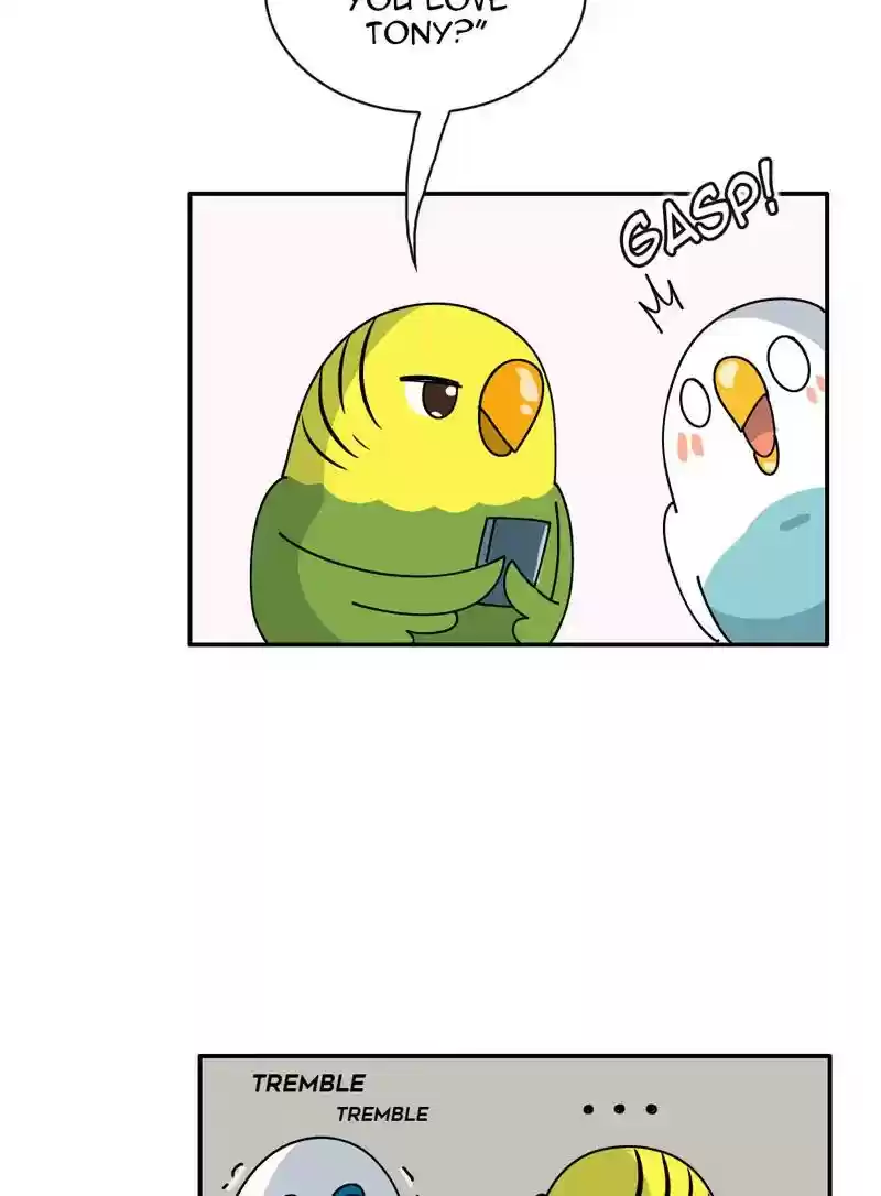 A Budgie's Life Chapter 347: Ep.346:
