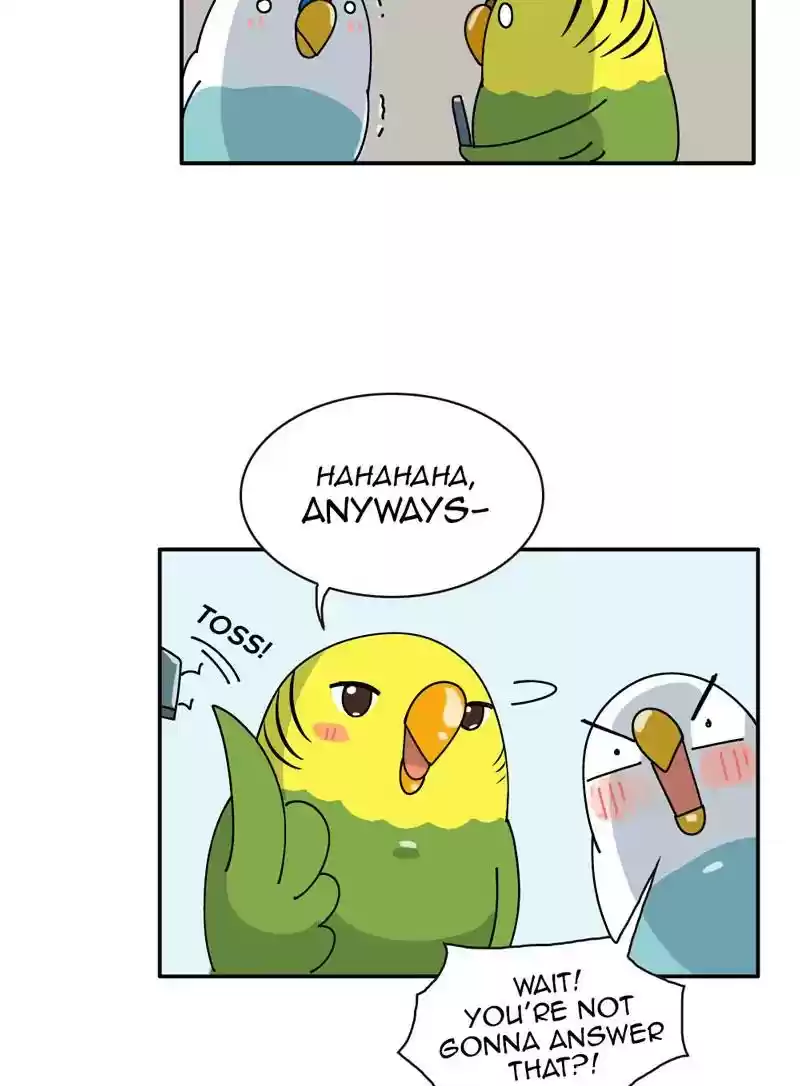 A Budgie's Life Chapter 347: Ep.346: