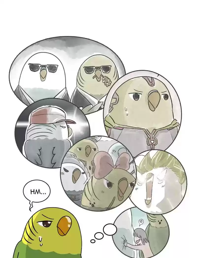 A Budgie's Life Chapter 347: Ep.346: