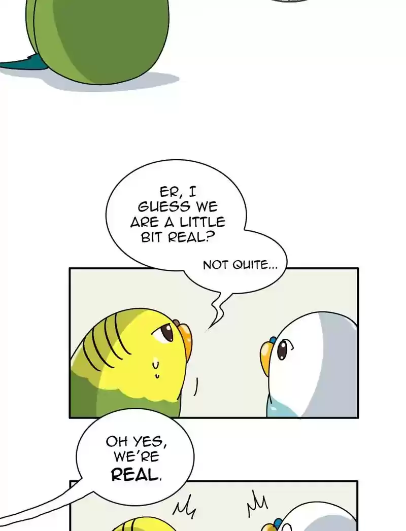 A Budgie's Life Chapter 347: Ep.346: