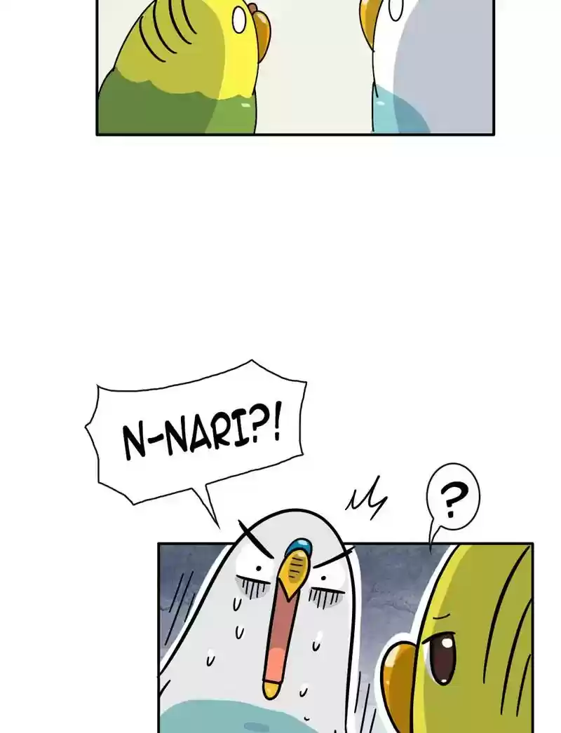 A Budgie's Life Chapter 347: Ep.346: