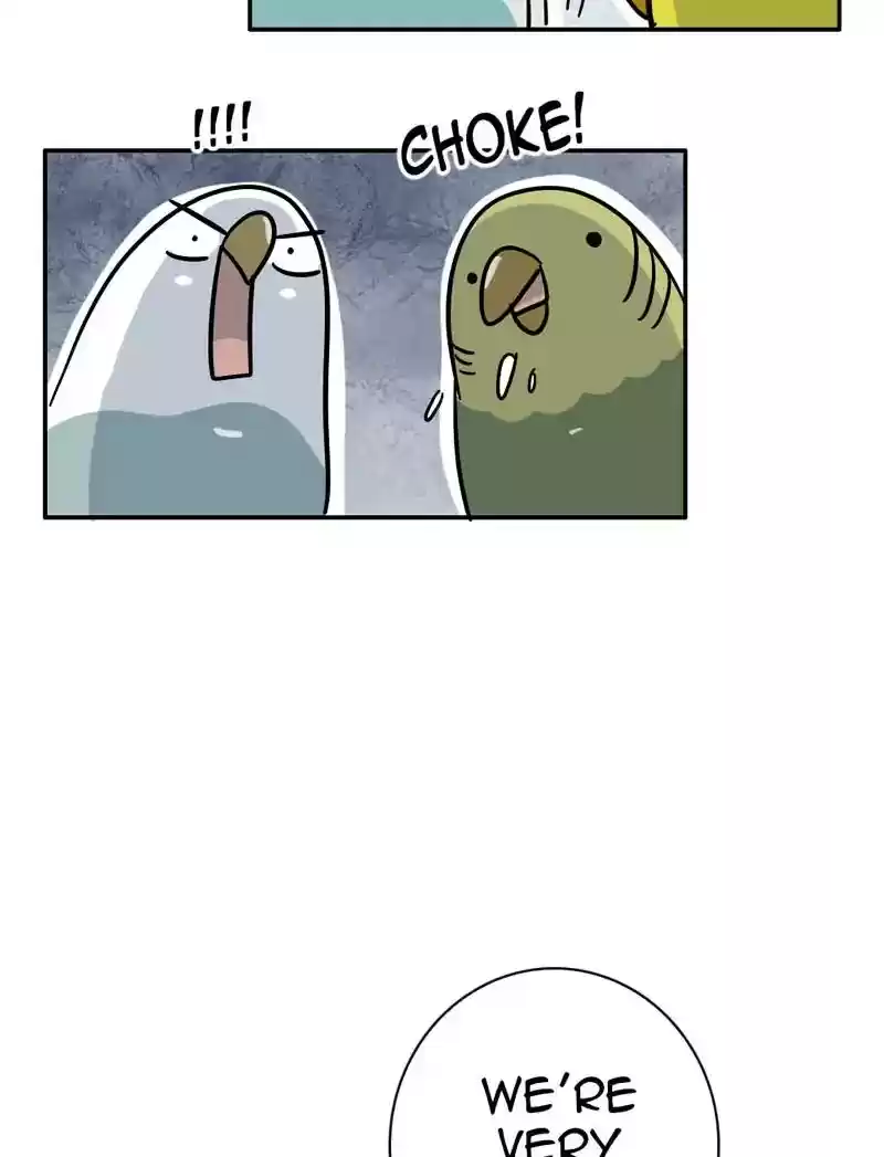 A Budgie's Life Chapter 347: Ep.346: