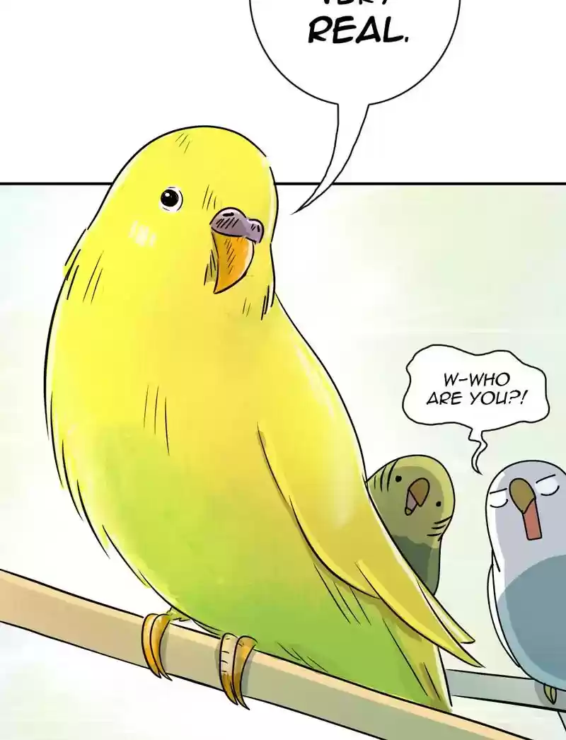 A Budgie's Life Chapter 347: Ep.346: