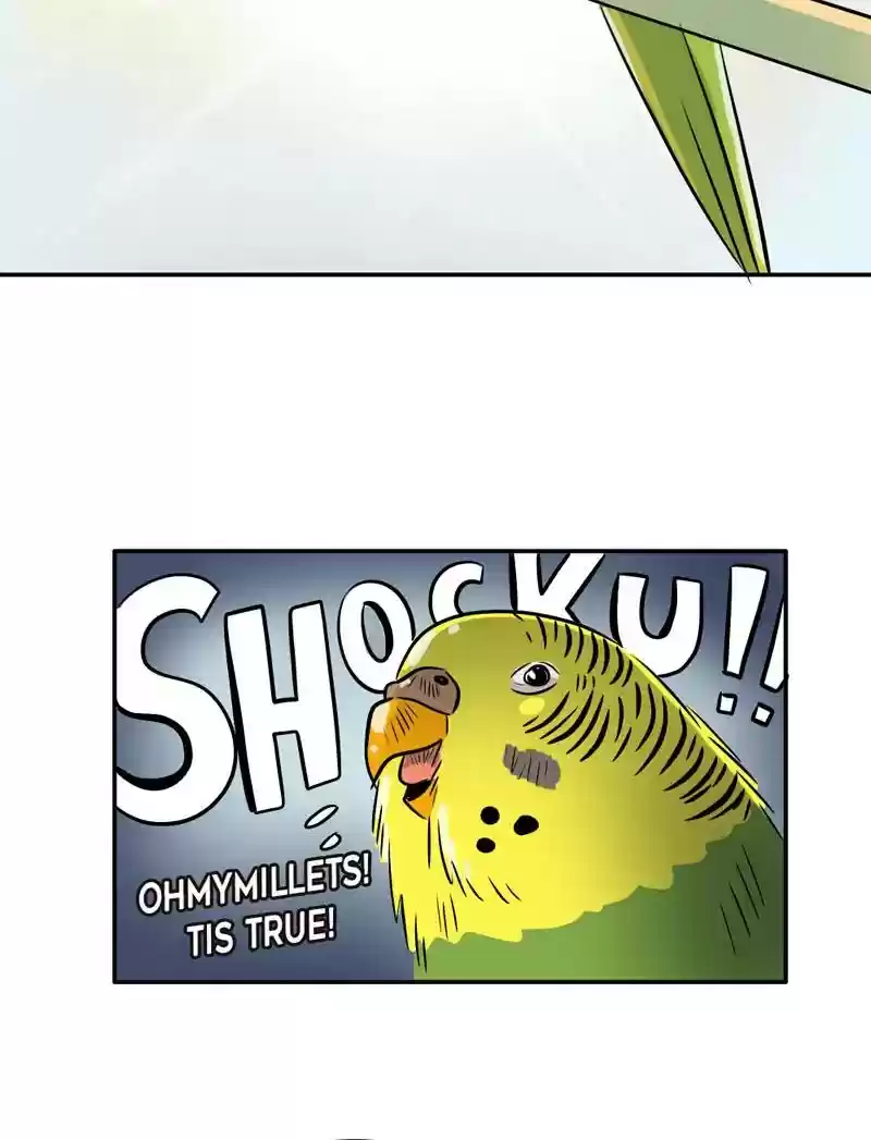 A Budgie's Life Chapter 347: Ep.346: