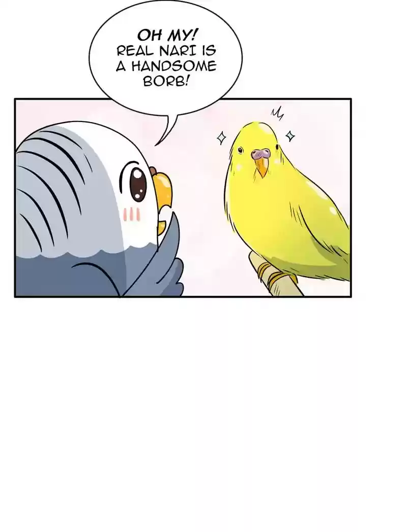 A Budgie's Life Chapter 347: Ep.346: