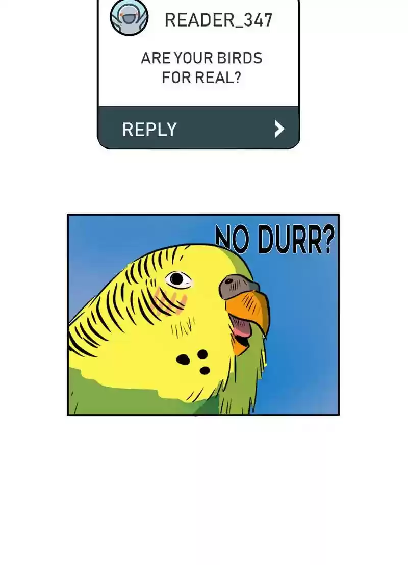 A Budgie's Life Chapter 347: Ep.346: