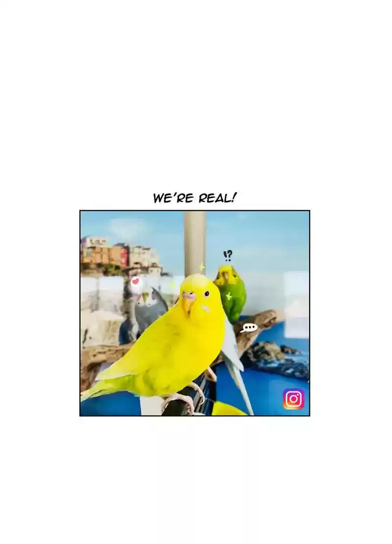 A Budgie's Life Chapter 347: Ep.346: