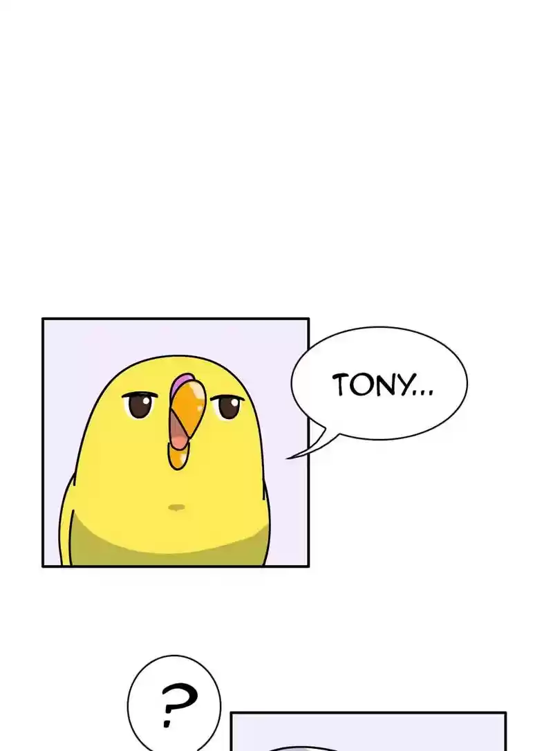 A Budgie's Life Chapter 348: Ep.347: