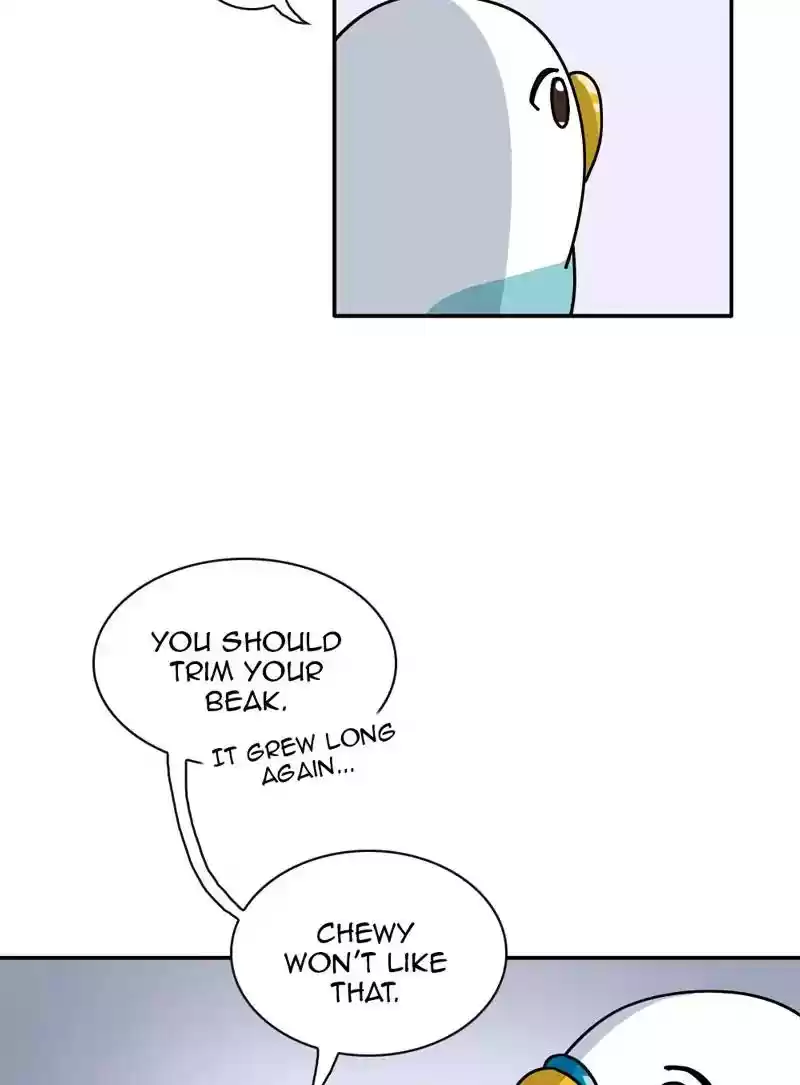 A Budgie's Life Chapter 348: Ep.347: