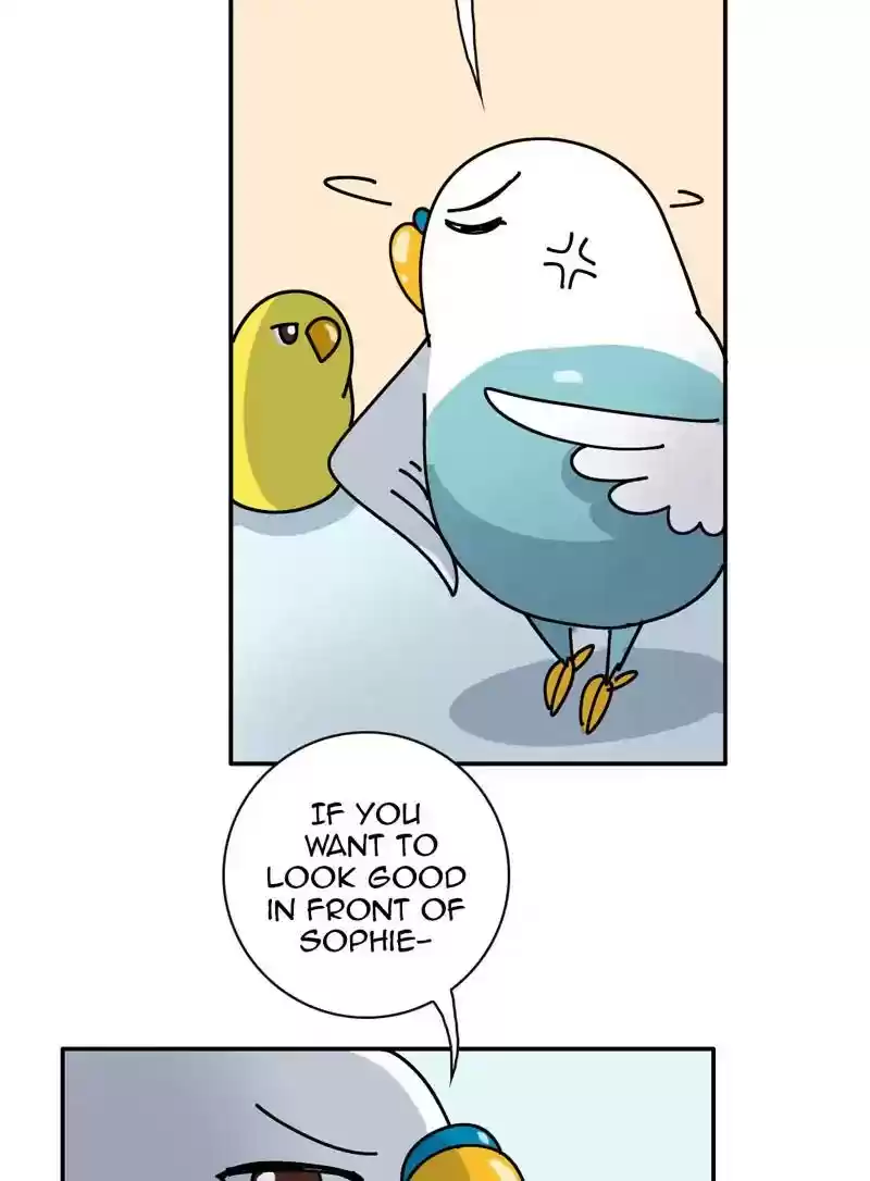 A Budgie's Life Chapter 348: Ep.347: