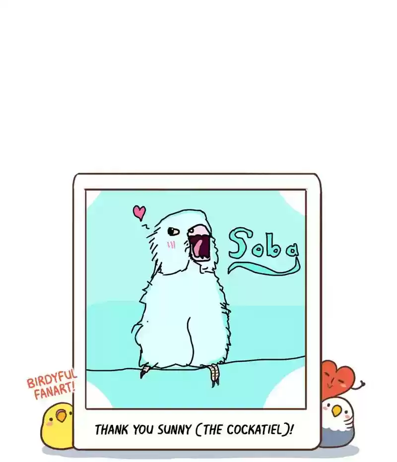 A Budgie's Life Chapter 348: Ep.347: