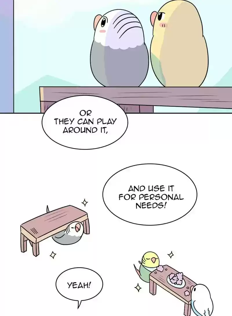 A Budgie's Life Chapter 349: Ep.348: