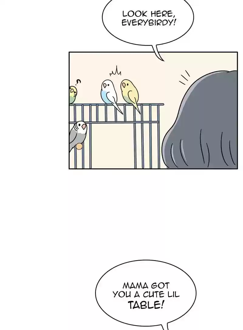 A Budgie's Life Chapter 349: Ep.348: