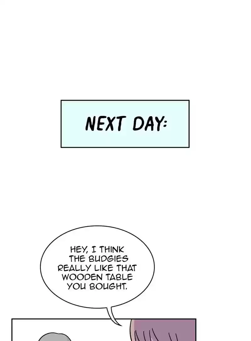 A Budgie's Life Chapter 349: Ep.348: