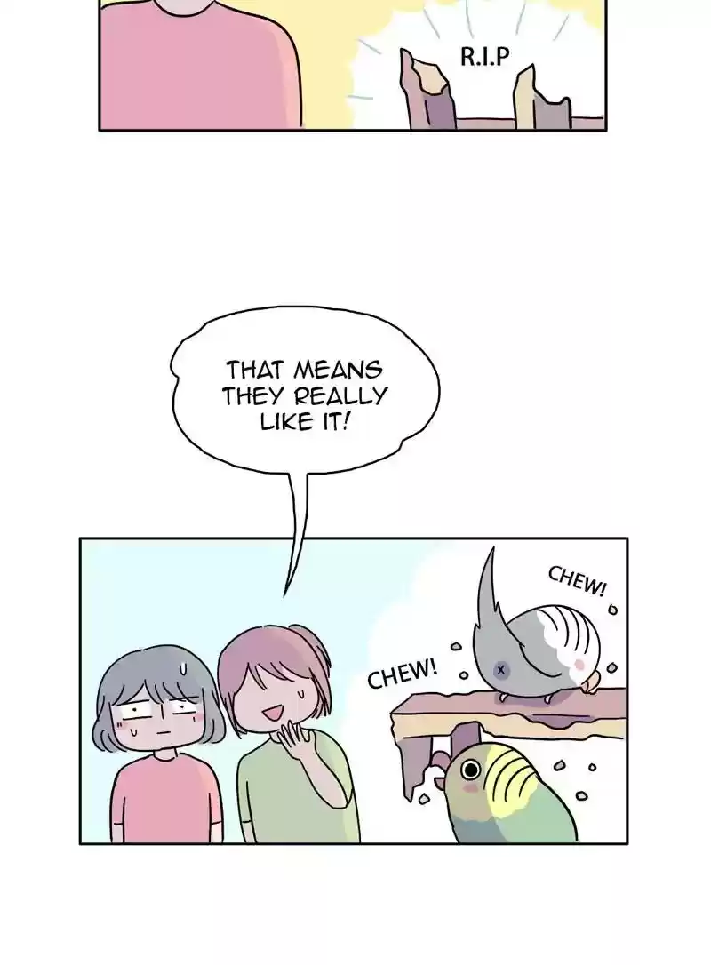 A Budgie's Life Chapter 349: Ep.348: