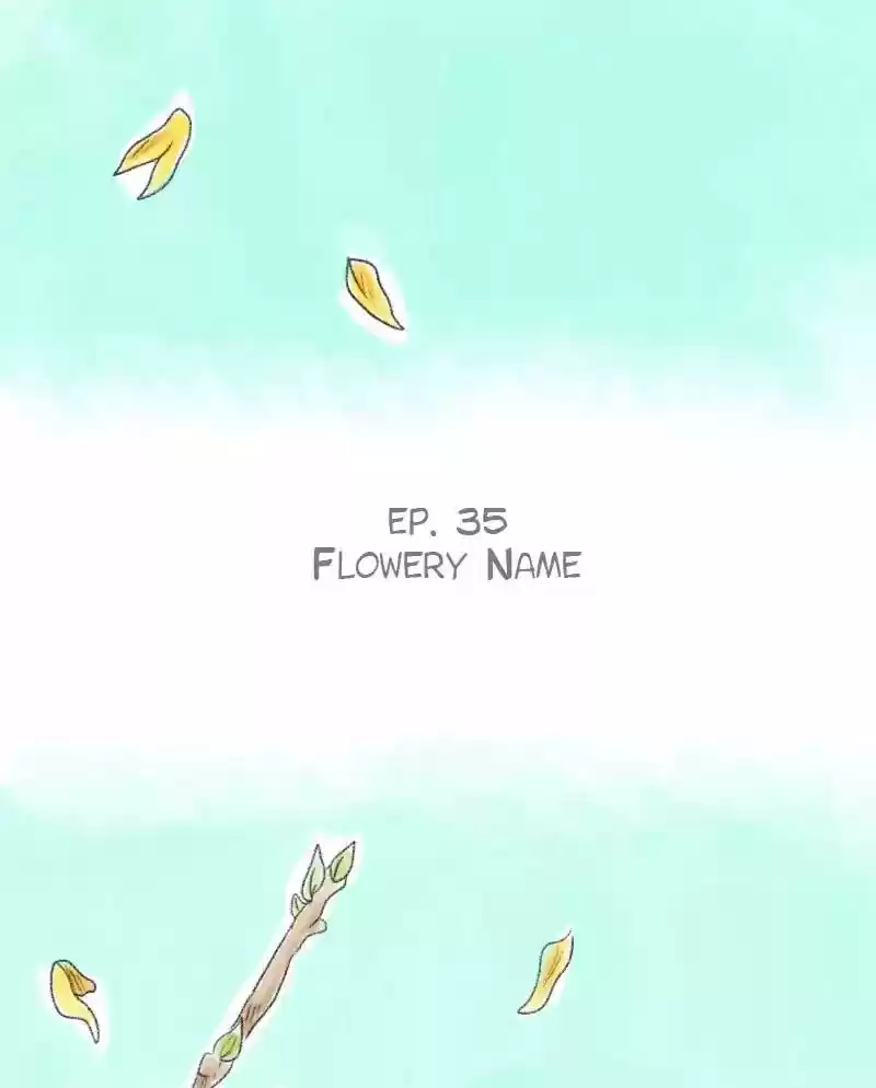 A Budgie's Life Chapter 35: Ep.35: